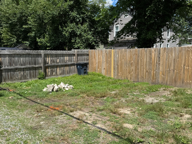 Rear access parking in city, overgrown