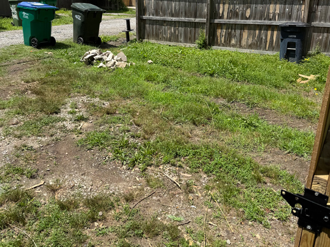 Rear access parking in city, overgrown