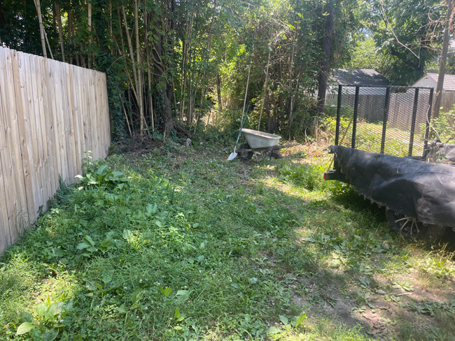 Rear access parking in city, overgrown